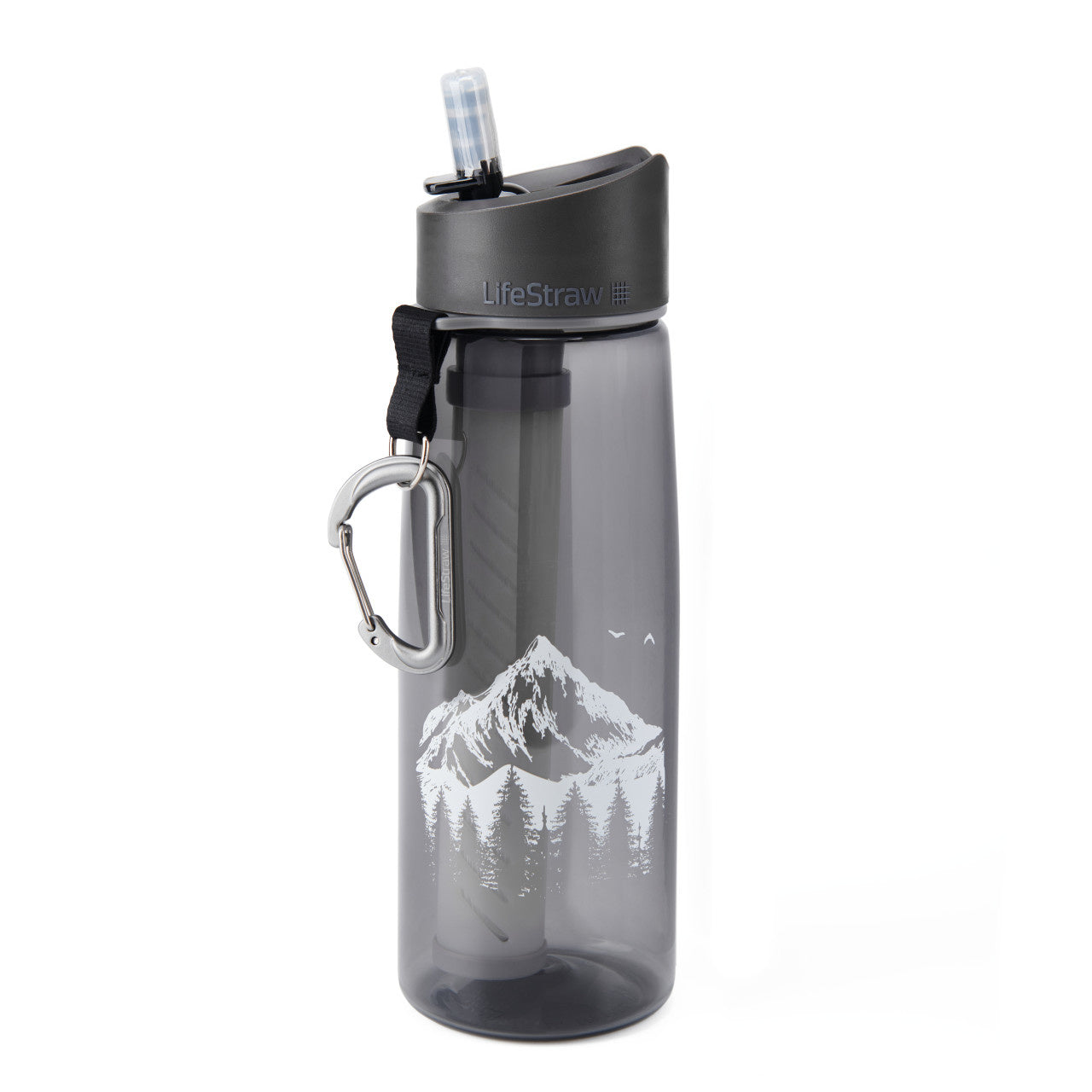 LIFESTRAW BOUTEILLE D’EAU AVEC FILTRE 22OZ - PLEIN AIR CAMPING ET SURVIE - PURIFICATION
