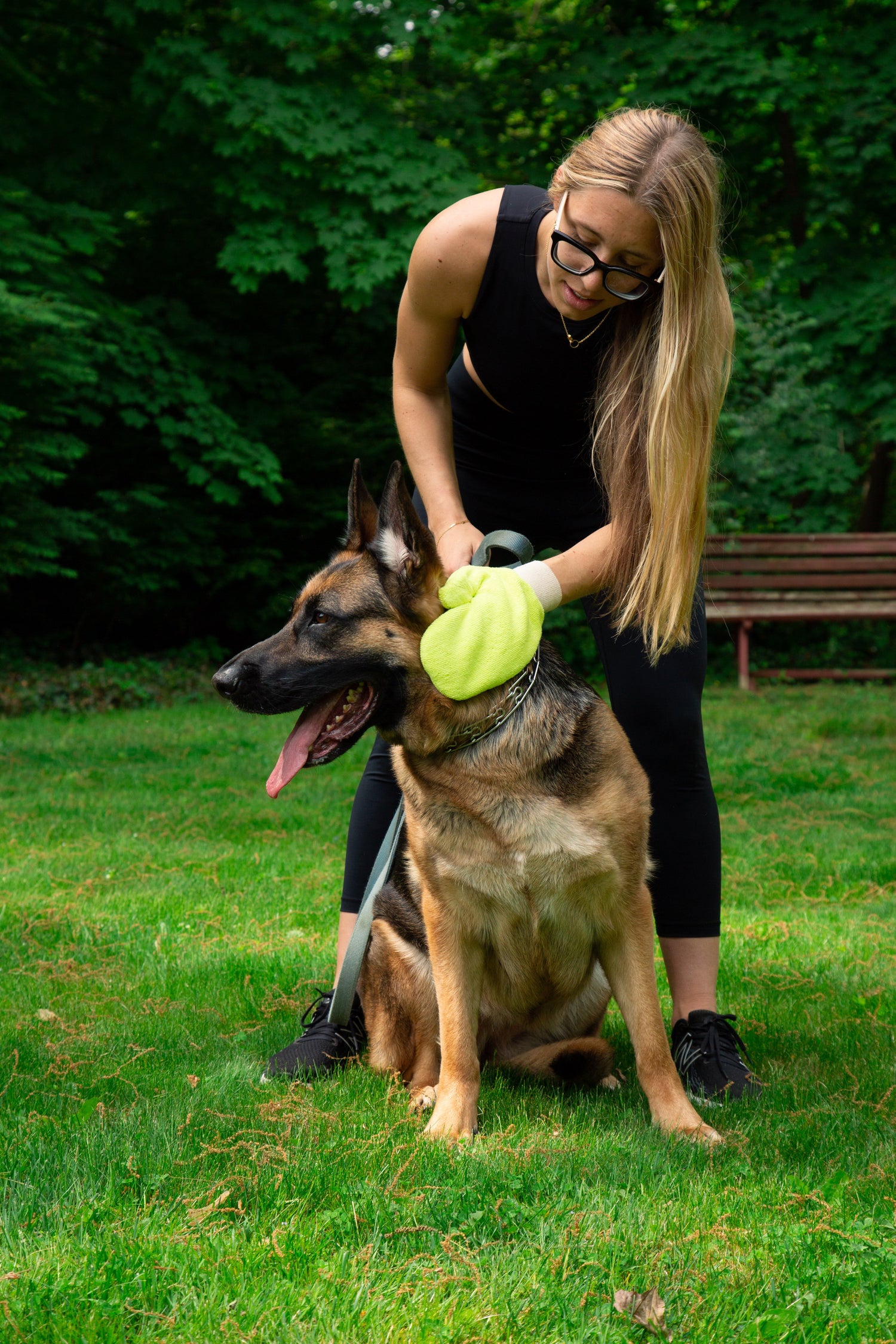 TICK MITT pour retirer les tiques sur les animaux