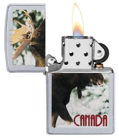 ZIPPO ORIGNAL DU CANADA EN HIVER